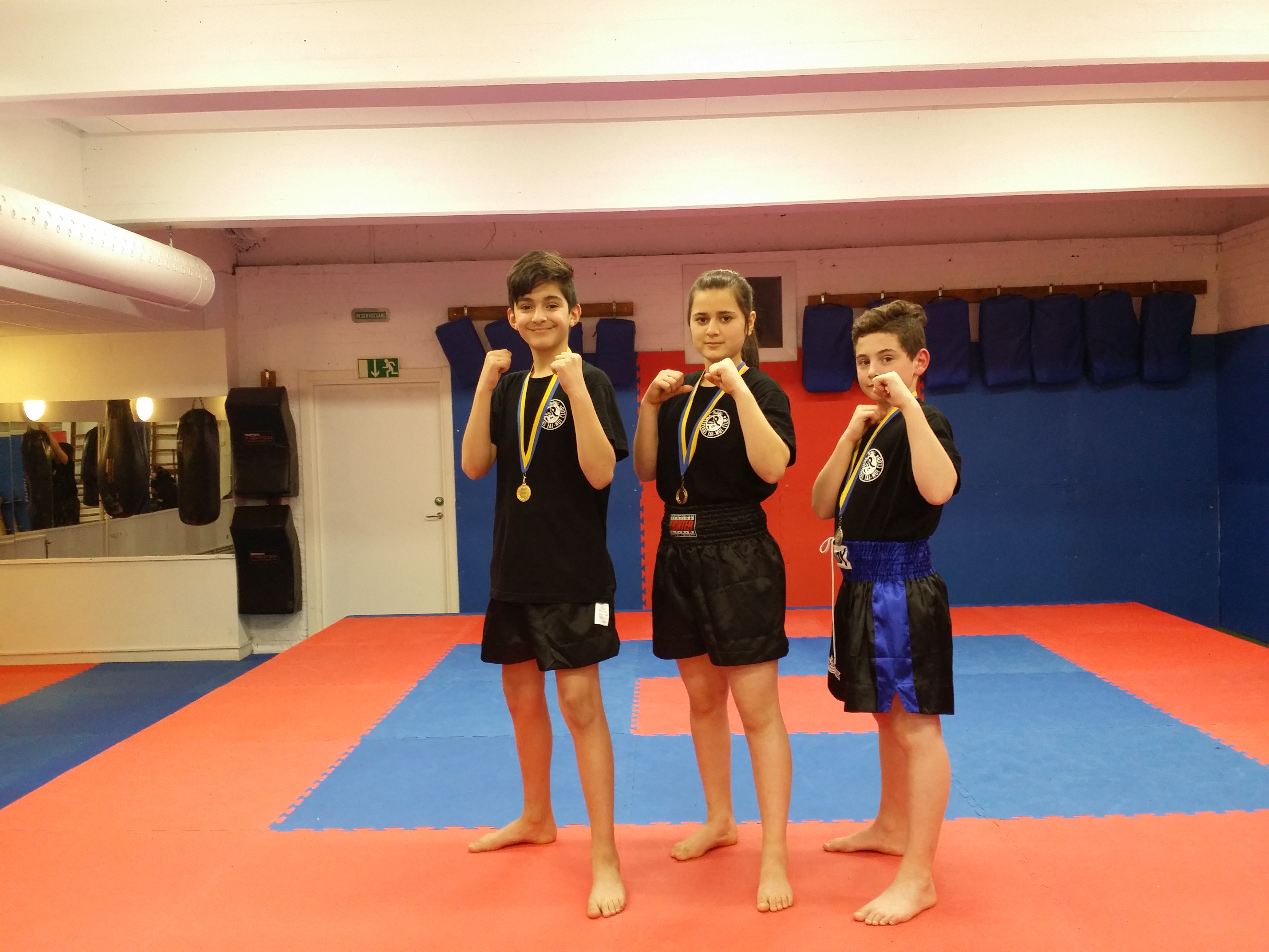 Aktuell händelse eller tävling från Westeras Tai-Nui Club i Västerås - Wushu Sanda, MMA eller Submission Wrestling